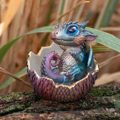 🐲🥚Dragon Hatchling
