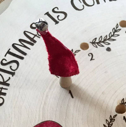 🎅2024 Christmas Gift--Christmas Advent Calendar