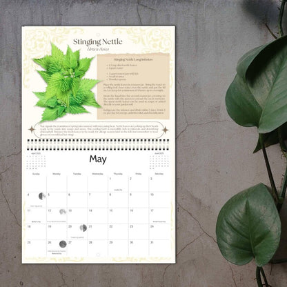 Magical Herbs Calendar 2025 🌿✨