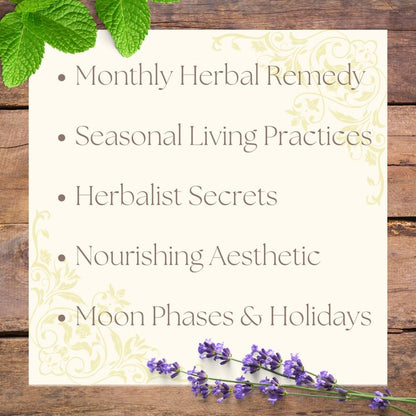 Magical Herbs Calendar 2025 🌿✨