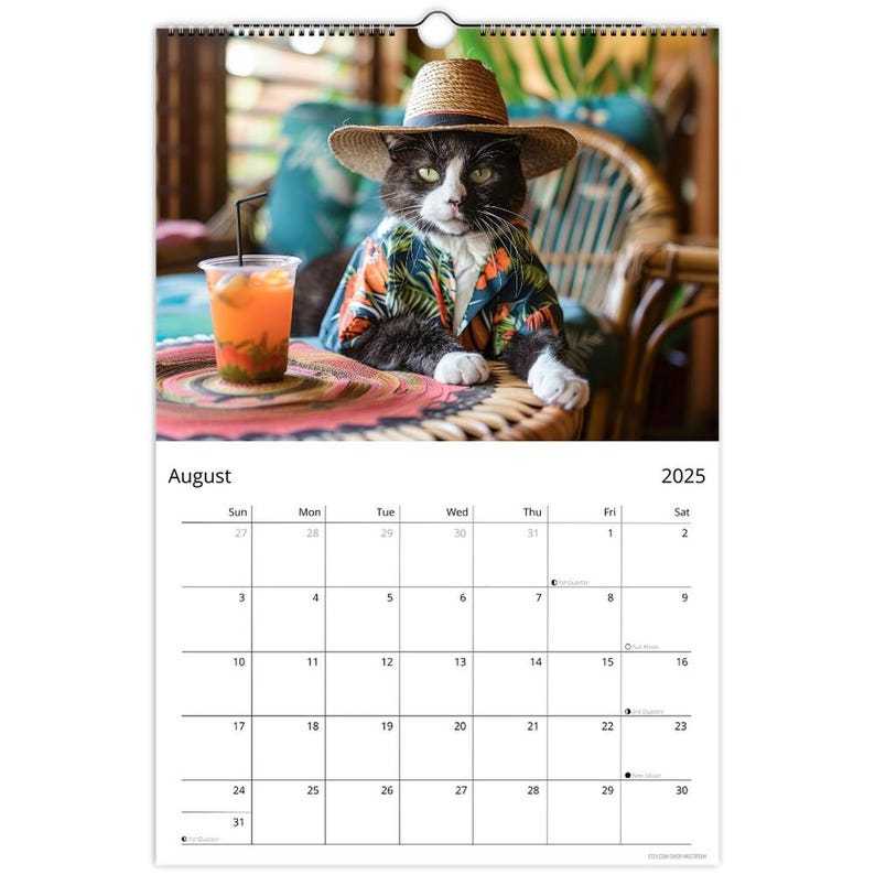 😺 Cat Lover Gift🎁——2025 Cute Cat Calendar