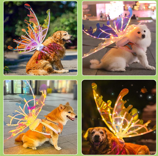 🎁Early Christmas Sale -🧚‍♀️✨-LED Flying Angel