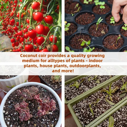 Spring Hot Sale 49% OFF✨ - Premium Organic Coconut Coir Bricks for Plants