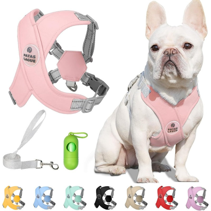 Reflective Mesh Pet Harness with Leash – No-Choke Design for Dogs