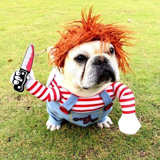 Dog Costume - Cowboy Rider