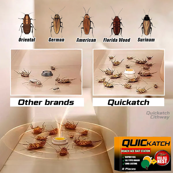 Quickatch Roach Ace Bait Station