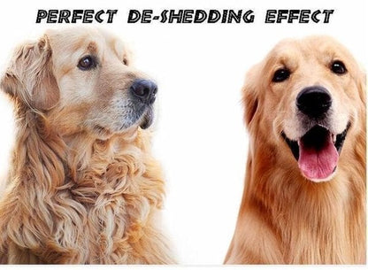 🎁Pet Safe Dematting Comb