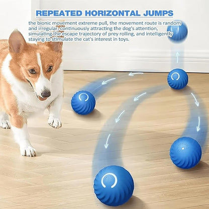 ✨Last Day Promotio-49%OFF🎁Chewie Viral Bouncing Ball