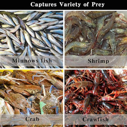 The Magic Foldable Fishing Trap