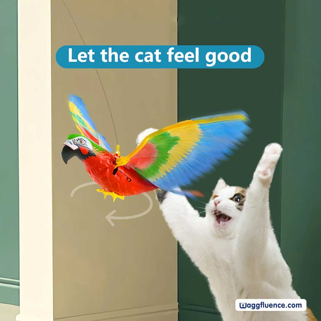 (🔥Hot Sale - 49% OFF) Simulation Bird Interactive Cat Toy for Indoor Cats