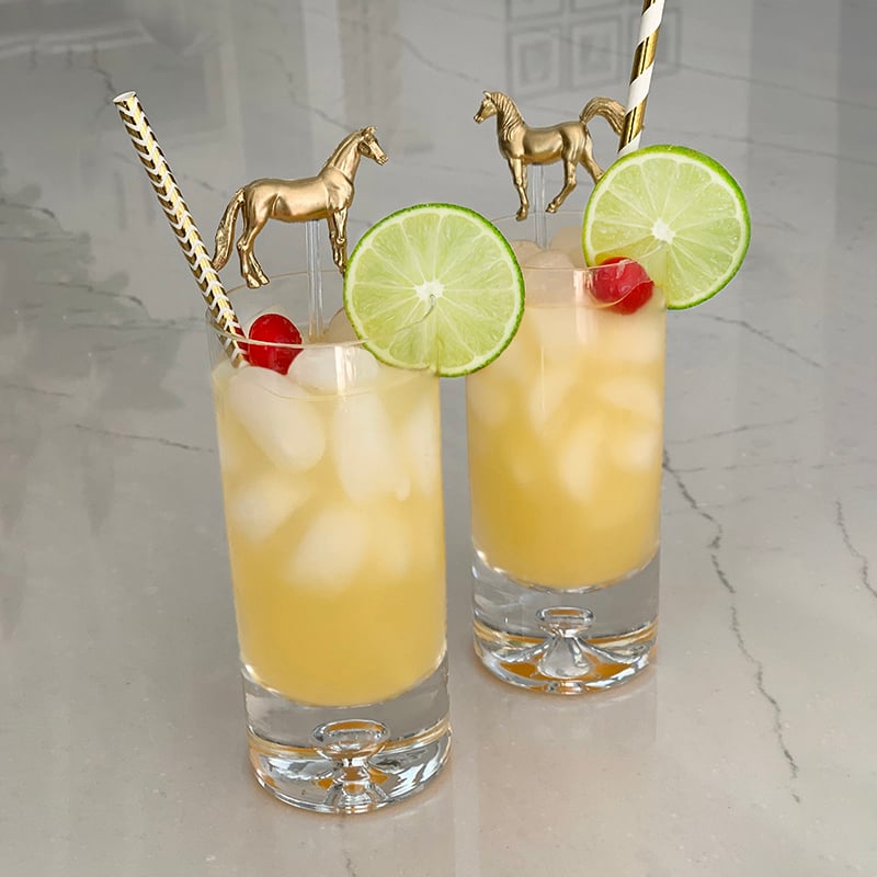 Horse Drink Stirrers - Set of 6
