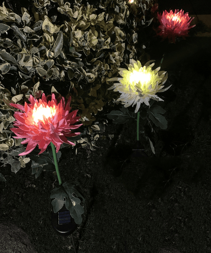 29.5" Chrysanthemum Solar Garden Stake LED