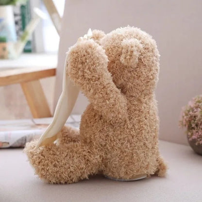 🎄🎁Christmas sales 60% OFF-🧸Peek-A-Boo Teddy Bear Plush
