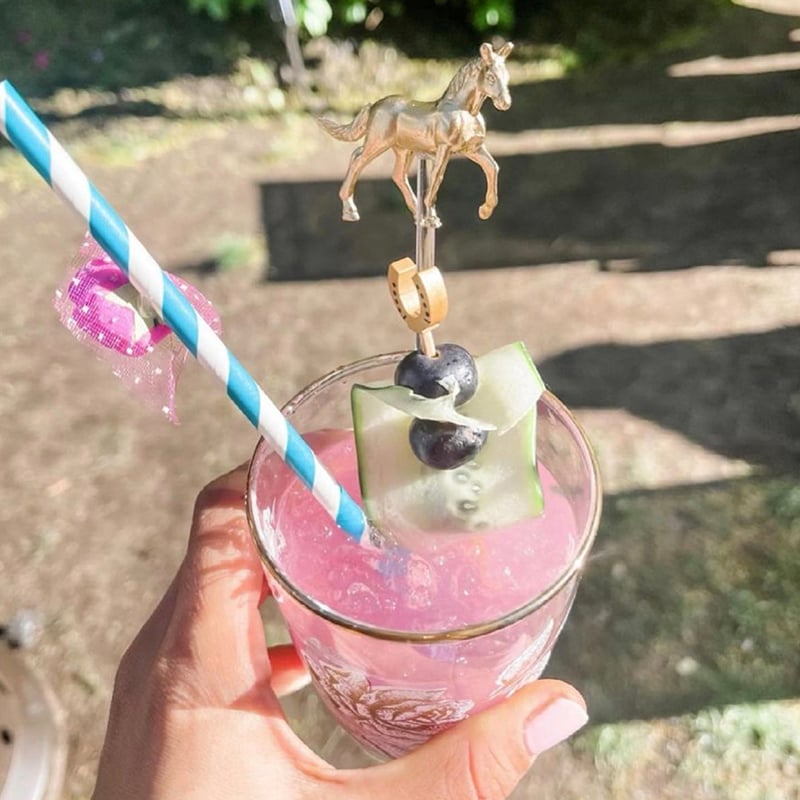 Horse Drink Stirrers - Set of 6