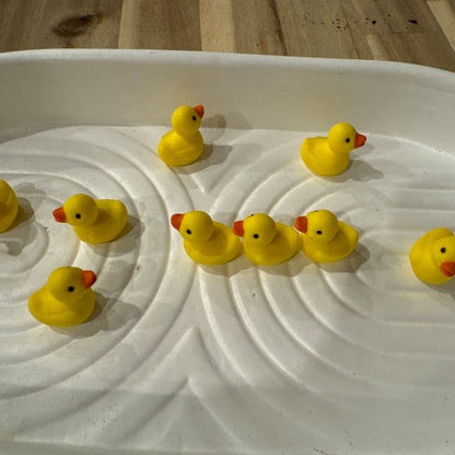 🦆Duck Jar - Give A Duck🖕🏻
