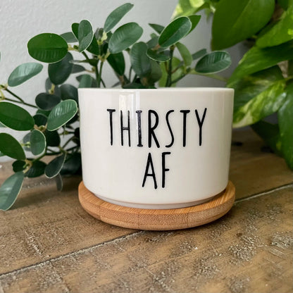 Funny unique succulent pots